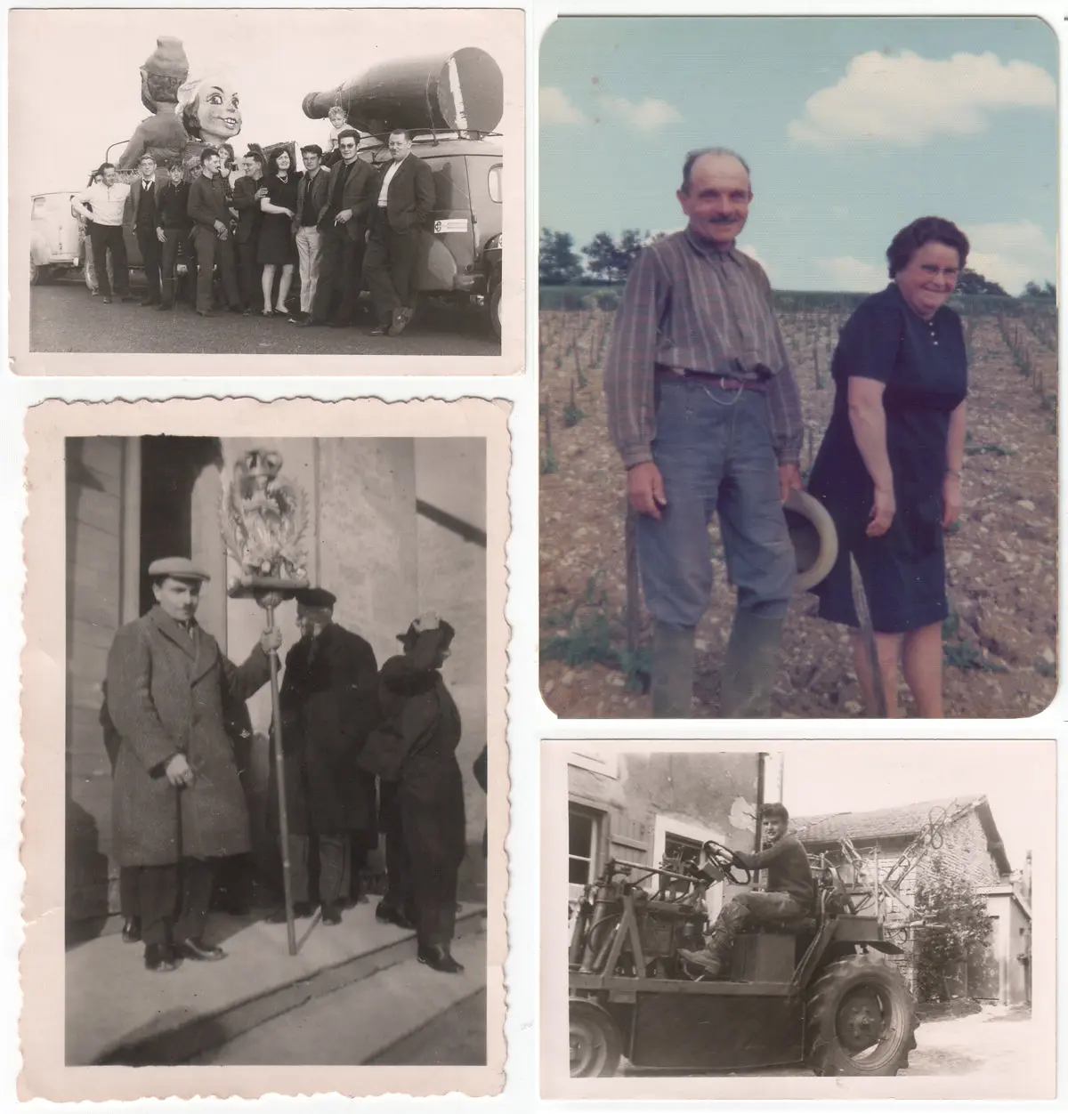 Photographie ancienne des vignes familiales